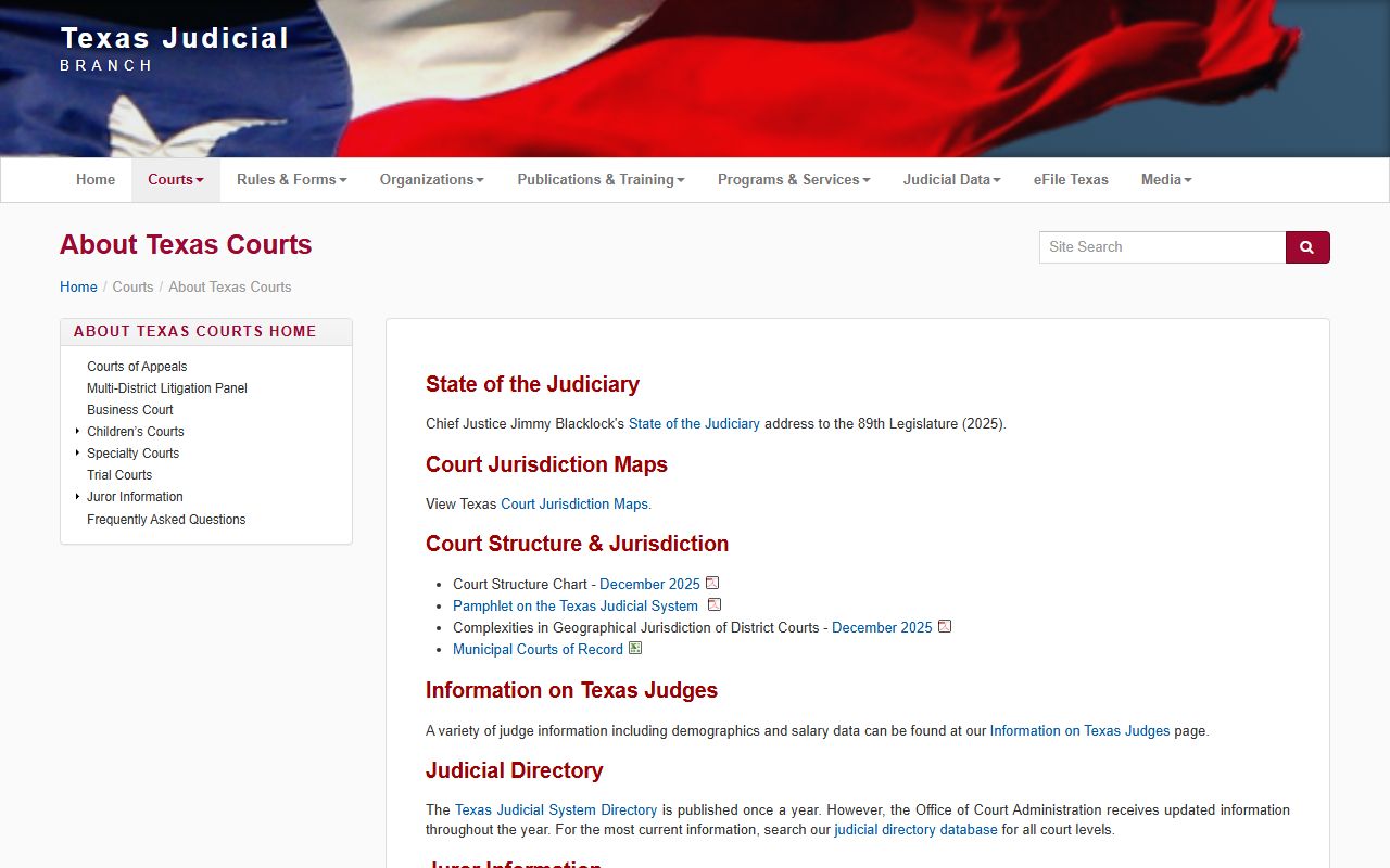 Texas Judicial Branch page describing the court structure that governs Cameron County court records