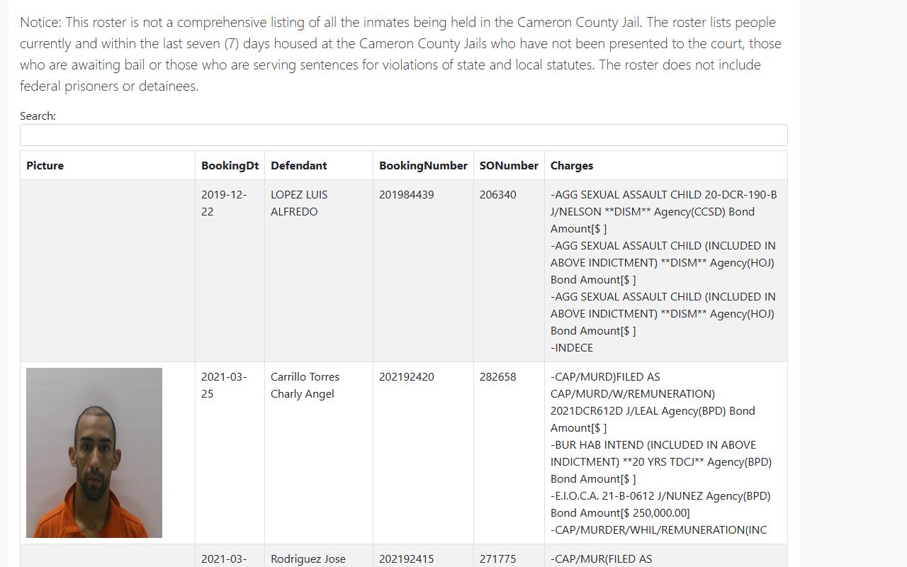 Cameron County inmate list scope page explaining jail roster court records limits
